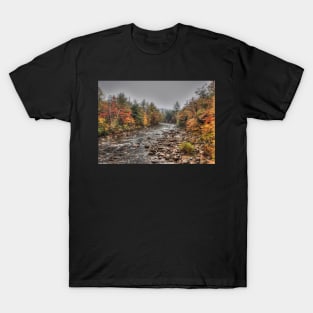 Swift River Autumn T-Shirt